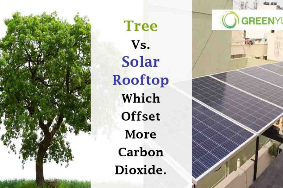 Tree vs Solar Rooftop